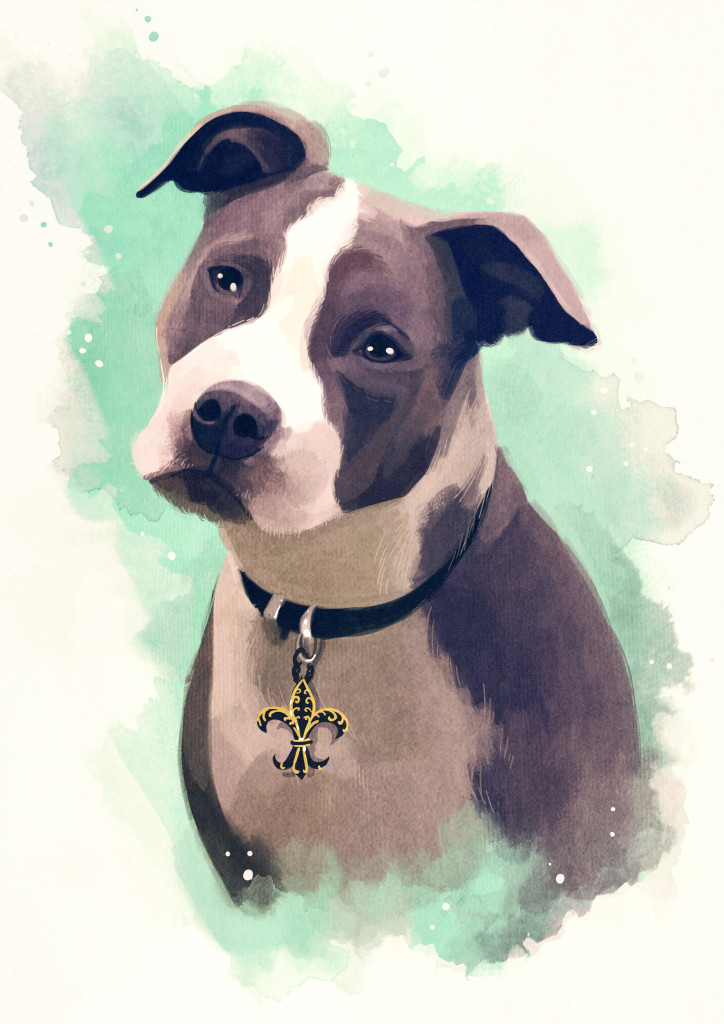 New Orleans Tank Dog